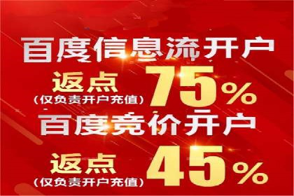 百度推广运营成功案例：行业领先企业的秘诀